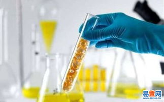 黃島進出口代理 助力企業拓展國際市場的關鍵伙伴