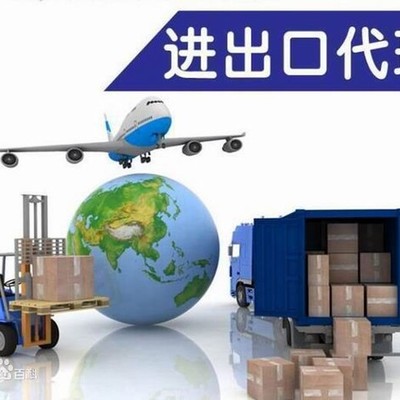 阿聯酋清關與報關 專業進出口代理的關鍵角色